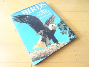 Foreign Books ◆ Birds of North America Photo Collection Books American Eagles, Eagles, Owls, etc.