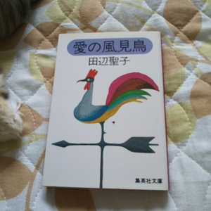 Used Bunko Hon Tanabe Seiko Ai's Wind Bird