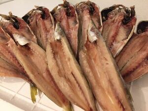 E [Free Shipping] Numazu, Shizuoka Prefecture Numazu Famous Heavy Mackerel Dried 7 Cats + Camas Dry 3 Tails