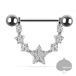 YGG ★ New Star Star Star Star Rhinestone Straight Barbell Earrings 14g 14 Gauge Silver 1 Piece Shield Earrings Body Earrings