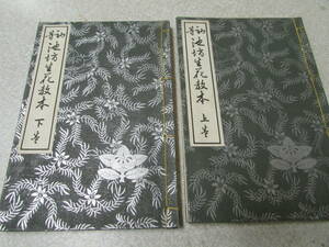 Ikenba Ikboh Flower Book Book 2 Books in Showa 8 (Ho 106)