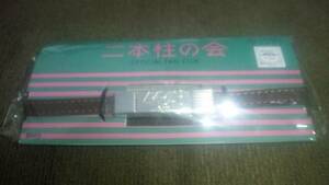 AKB48 Two pillars Leather Breath Rare Rare New Number