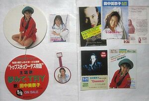Minako Tanaka Store Pop Flyer and other sets