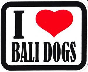☆ New ☆ Ibali Dogs Sticker/Bali/Bali Dog [Conditional Free Shipping]