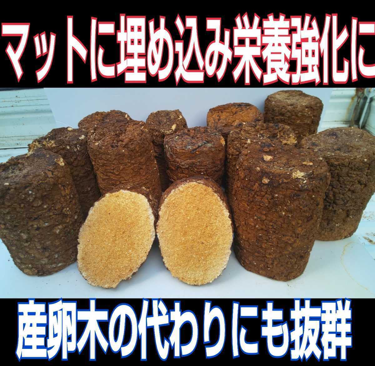 Shiitake mushroom scrapped floor block ☆ Bait of stag beetle larvae, instead of spawning trees! If you embed it in a 100 % fermentation mat, the nutrition will be enhanced and Kabuto larvae will increase the size!