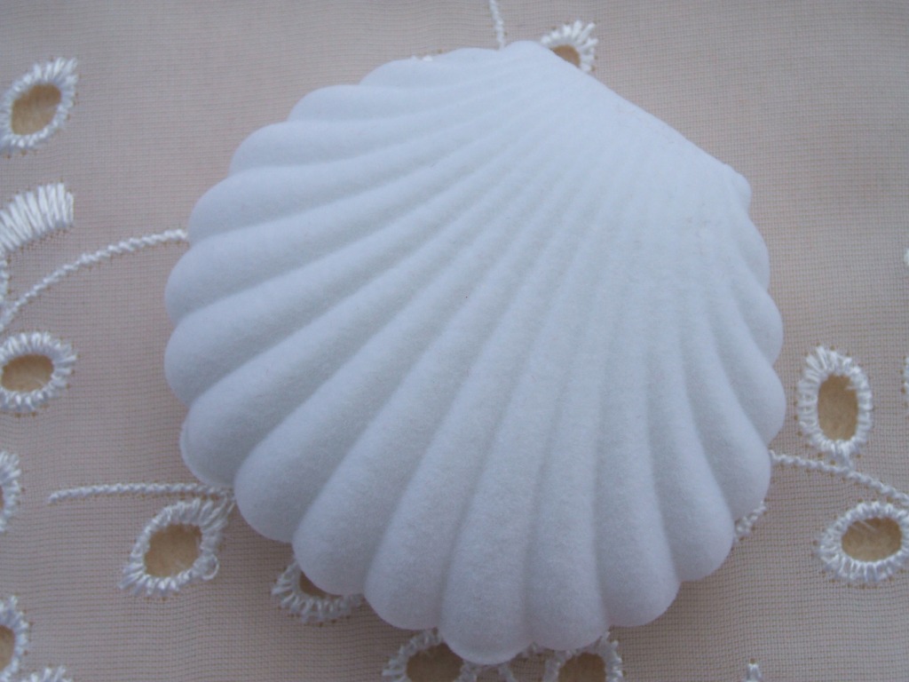 ★ Shellfish accessories case ★ White ★ Earrings/necklace/earrings ★ Gift box