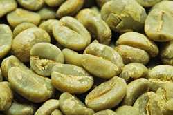 [1㎏] Coffee Beans Tanzania Adela Premium Free Shipping