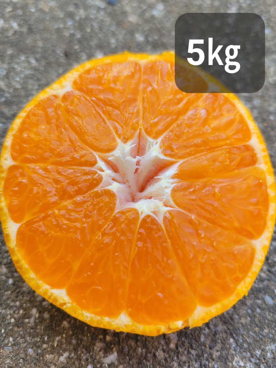 Early Mandarin Odama 5㎏ Multivulating Pesticide Reduced Fruit Incerto Farmers Directly Delivery