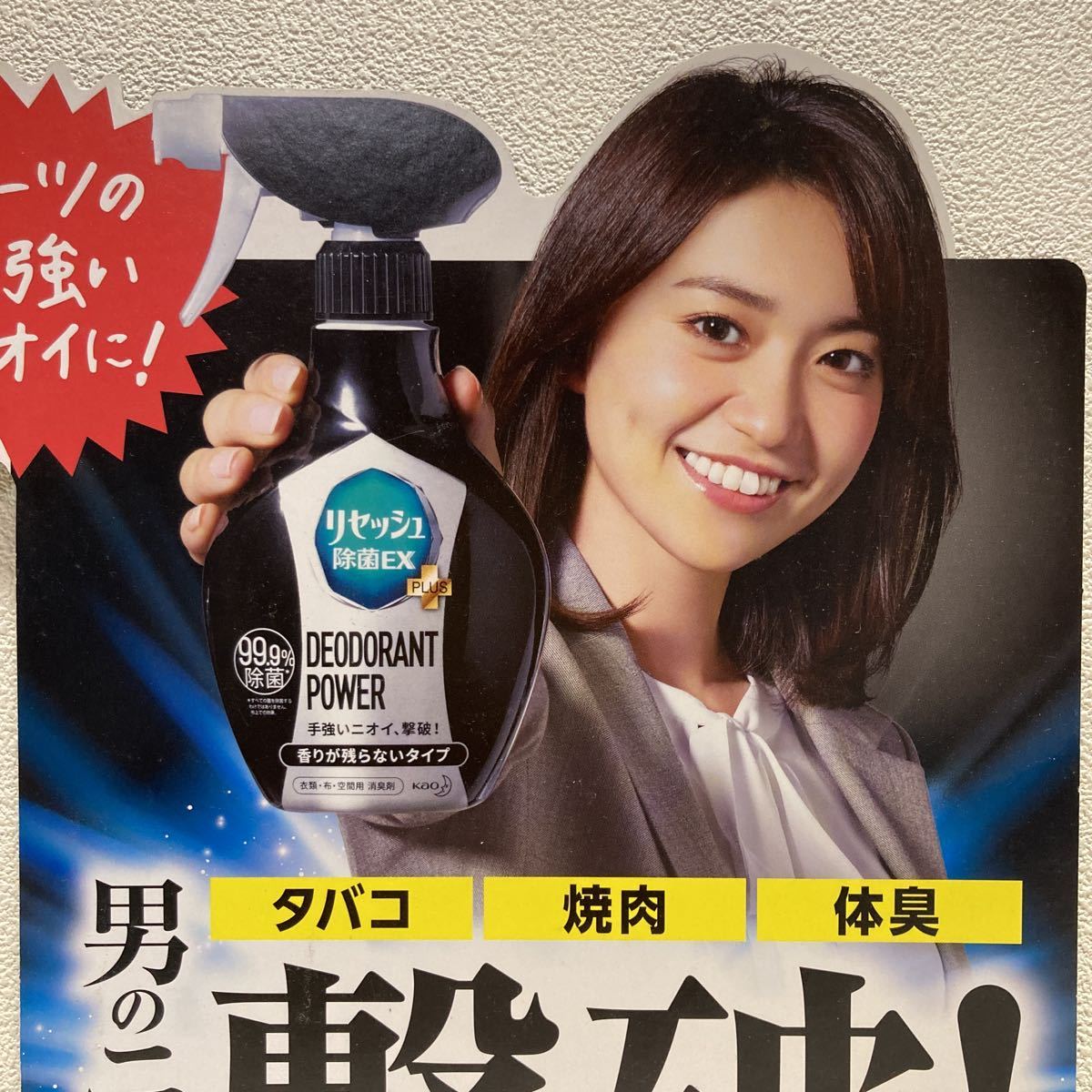 Yuko Oshima Resesh Promotion Pop 26cm x 23cm