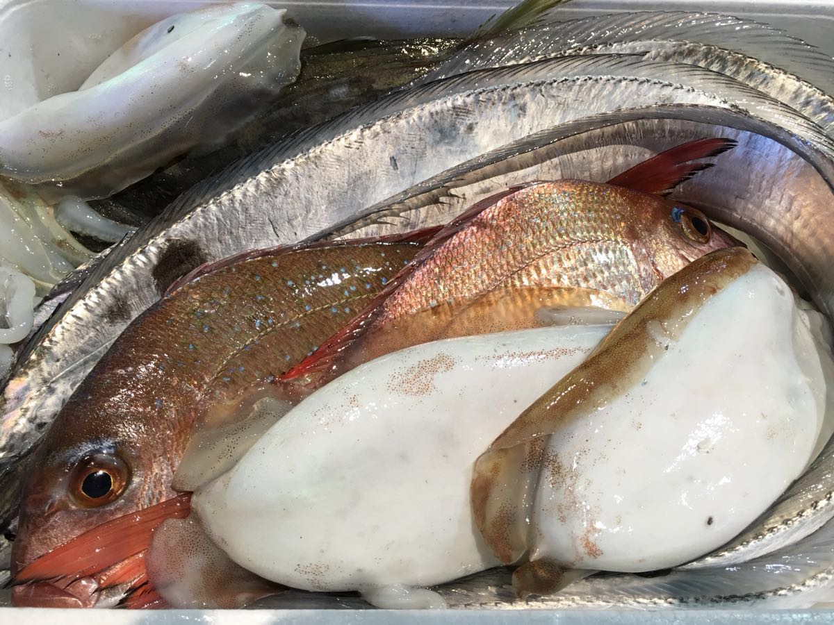 Surprised fresh fish box in Bungo Channel!