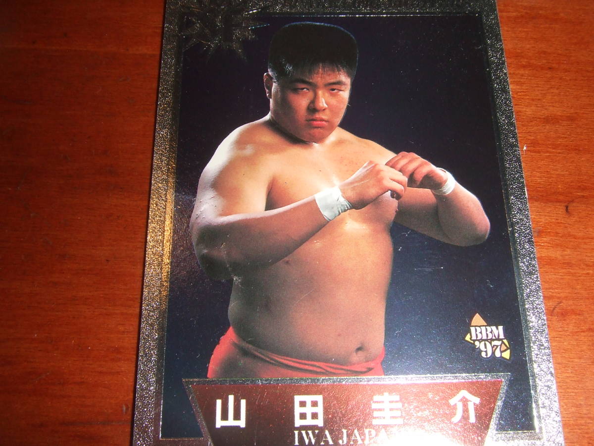 Professional Wrestling [Keisuke Yamada] Special Card (Trading Card)